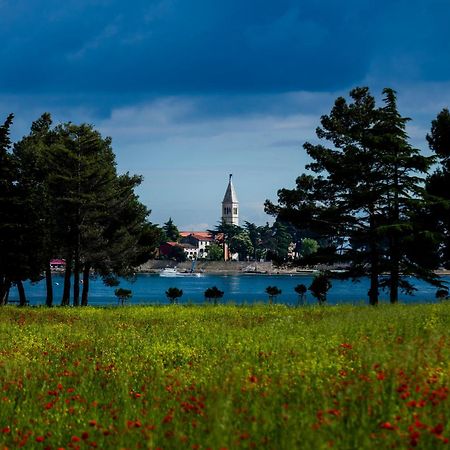 Belvedere Holidays Villas Novigrad (Istria) Exterior foto