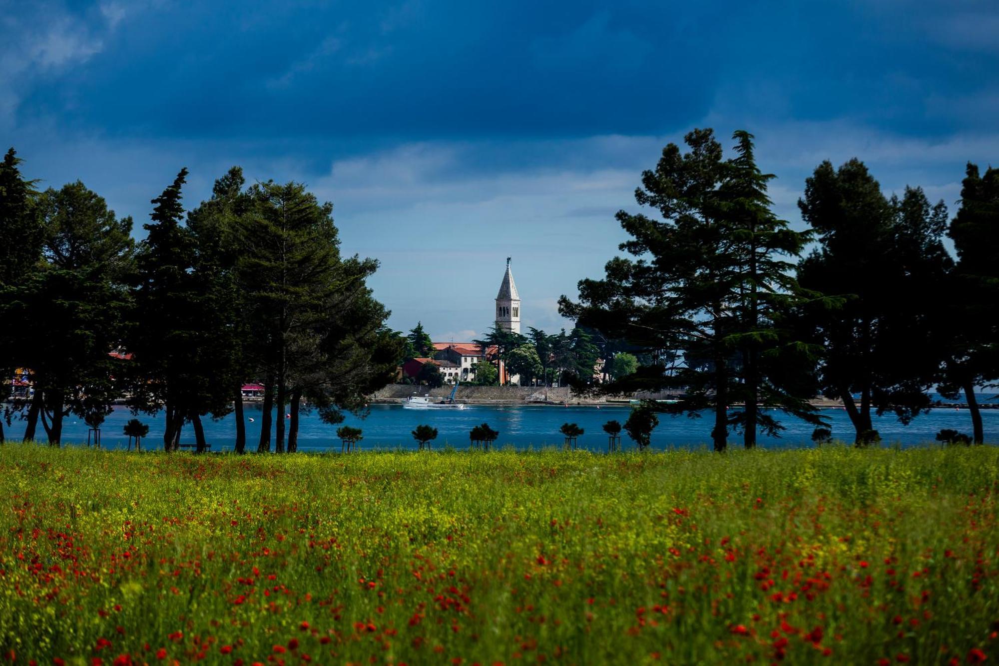 Belvedere Holidays Villas Novigrad (Istria) Exterior foto